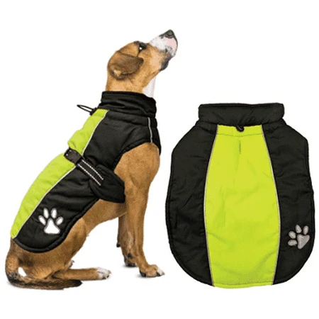 Sporty Jacket Black And Green Medium Size For Dogs
