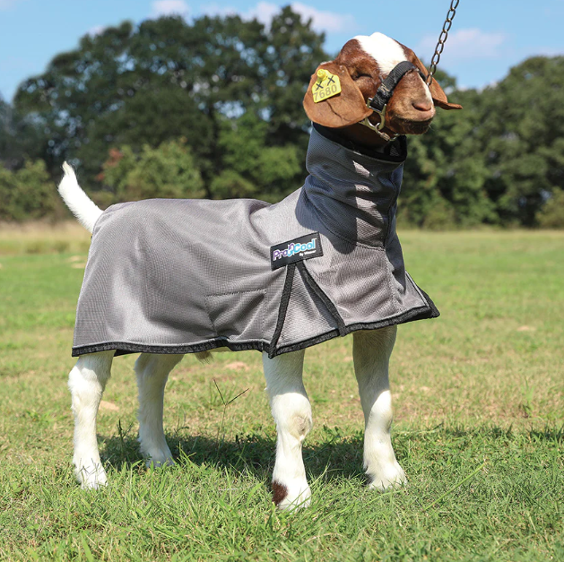 Procool™ Goat Blanket With Reflective Piping And Mesh Butt