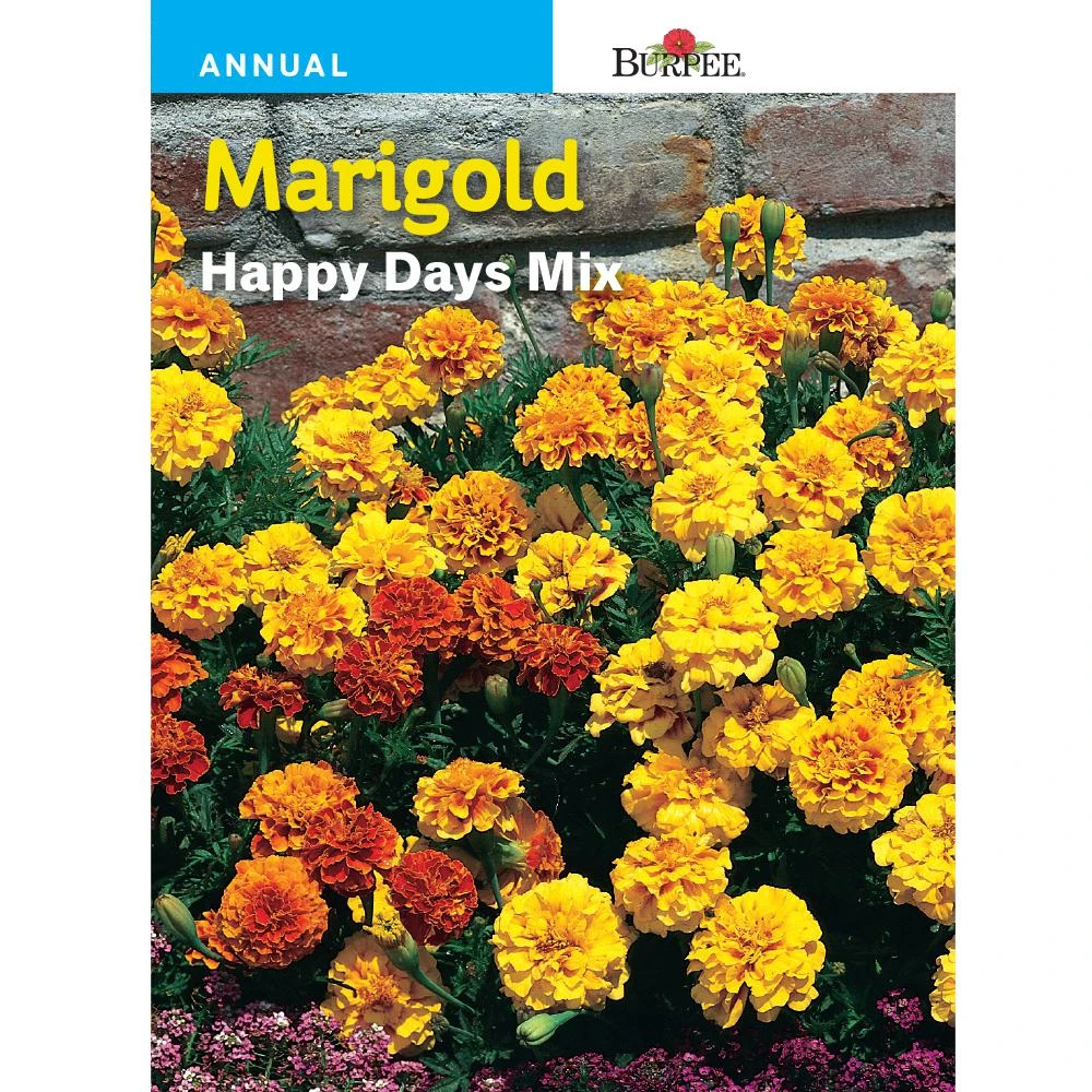French Happy Days Mix Seed - Vibrant Flower Seeds For Garden Enthusiasts