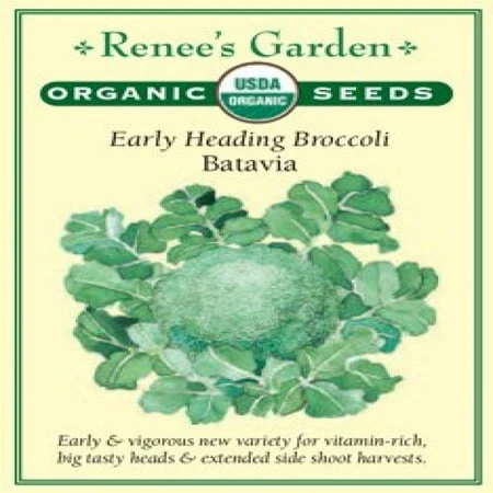 Certified Organic Early Batavia Broccoli Seeds - Non-gmo, High Yield Variety