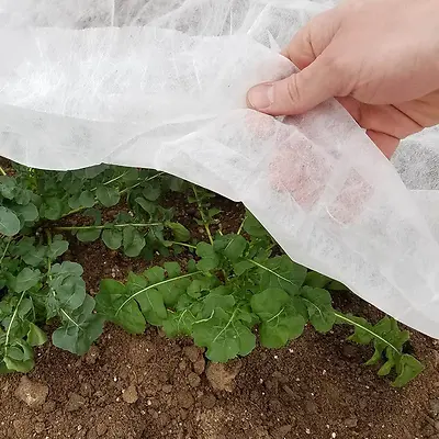 AG-15 INSECT ROW COVER 118"X50'