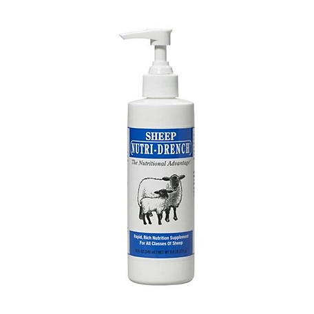 SHEEP NUTRI DRENCH 8OZ