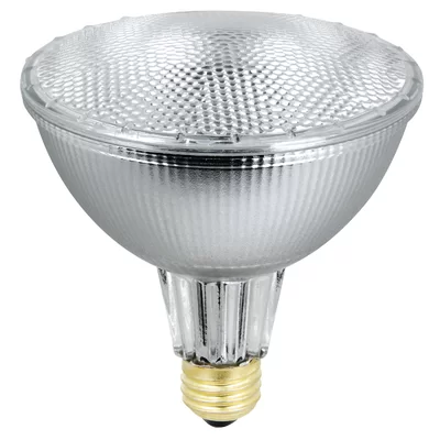 70 Watt PAR 38 Halogen Bulb