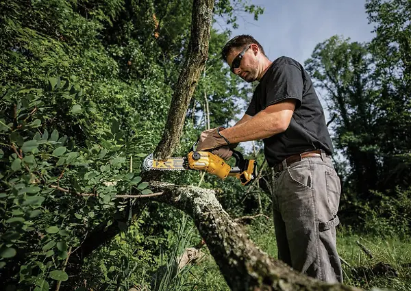 20-Volt MAX Brushless Cordless Pruning Chainsaw Kit with 8 Inch Bar, Includes Battery and Charger