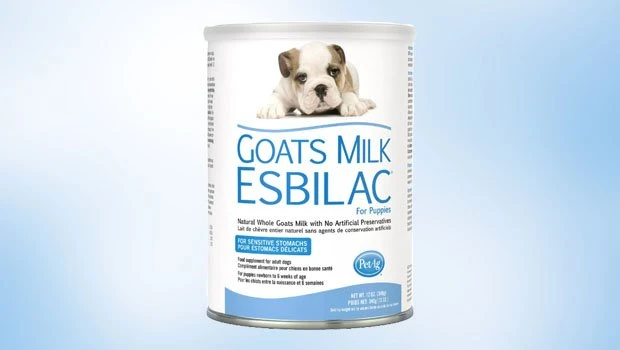 PetAg Goats Milk Esbilac Powder for Puppies 12 OZ