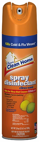 CLEAN HOME DISINFECTANT 19OZ