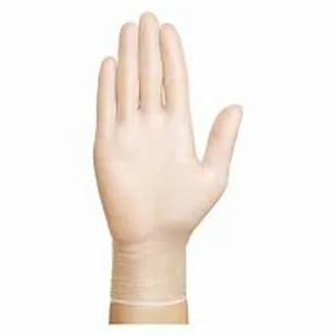 Empress Vinyl Gloves, Powder Free, Extra Large 10 / 100 cs