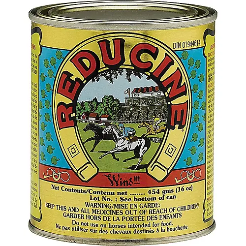 Reducine Absorbent 16 Ounce Equine Liniment For Horses - Model 100510714