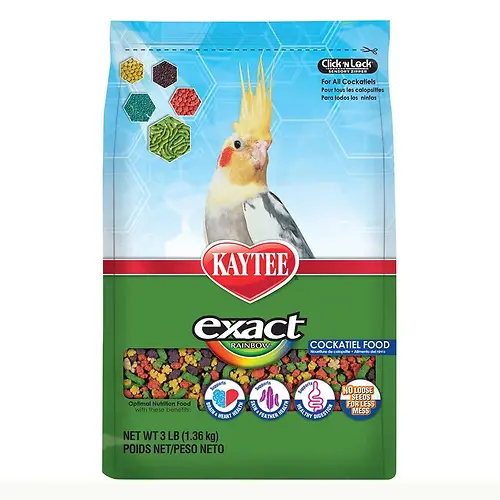 KayTee EXACT RaiNboW COCKATIEL 3lb