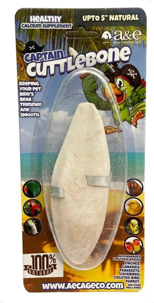 Natural Cuttlebone Flavor 6 Inch For Pet Birds - 1 Count