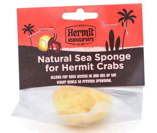 FLUKER's Hermit Crab NATural SEA SPONGE
