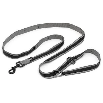 KURGO QUANTUM LEASH