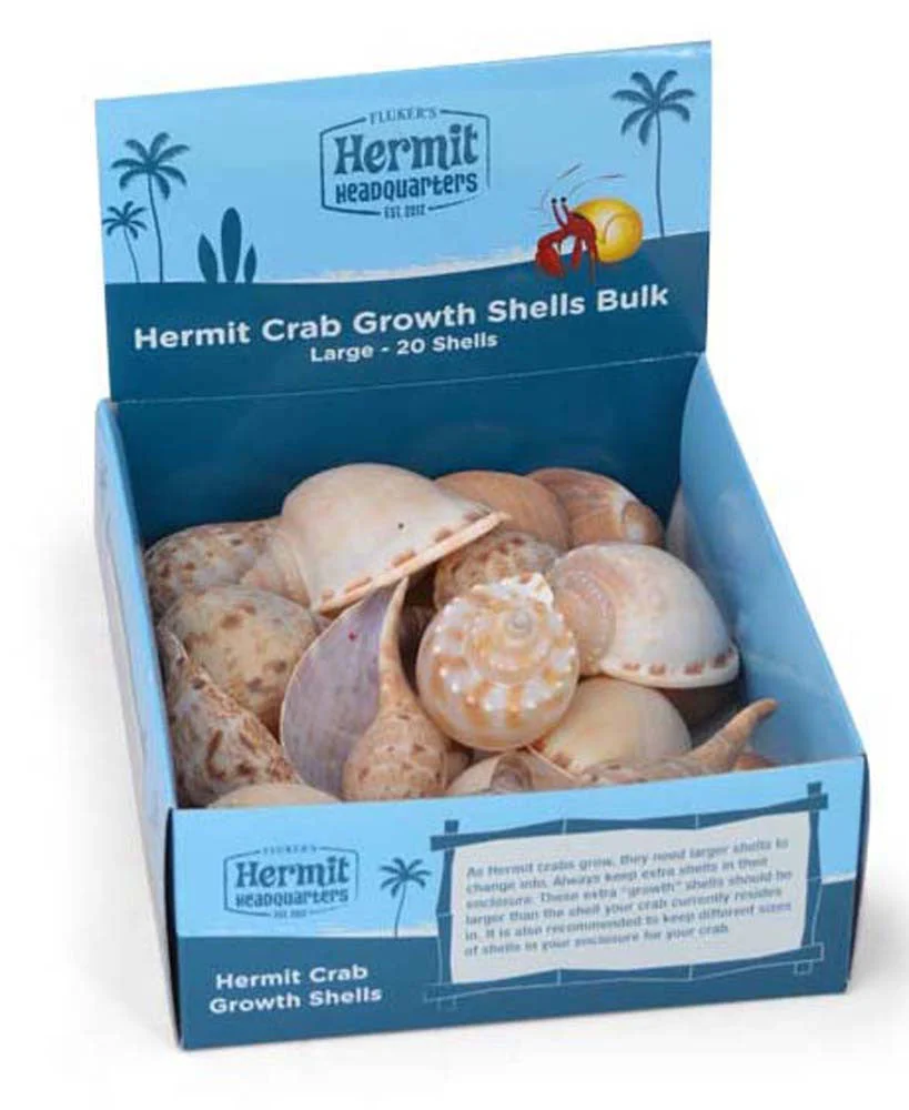 FLUKER'S HERMIT CRAB SHELLS LG