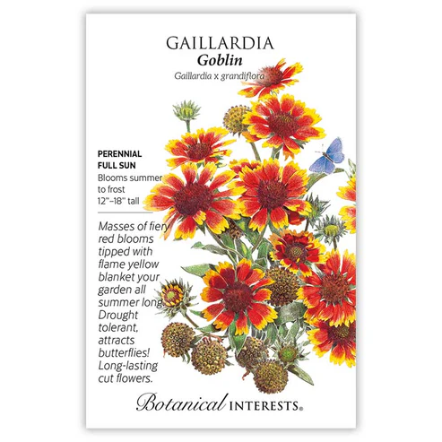BOTAN GAILLARDIA GOBLIN