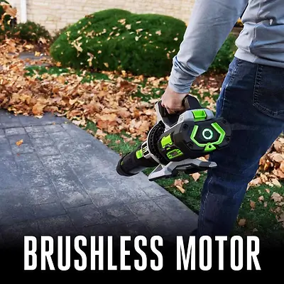 EGO 880 CFM Battery Handheld Leaf Blower Kit (Battery & Charger)