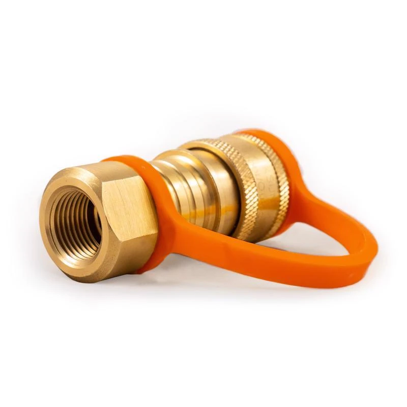 Natural Gas Conversion Kit With 10 Ft. Hose And Quick Connect Fitting
