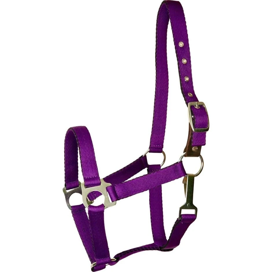 GATSBY ULTRA SOFT NYLON SAFETY HALTER PURPLE HORSE