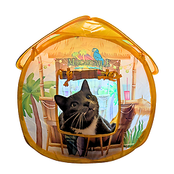 CAT TIKI HUT