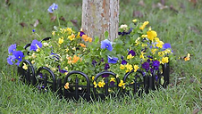 10' BLK Deco Edging Kit