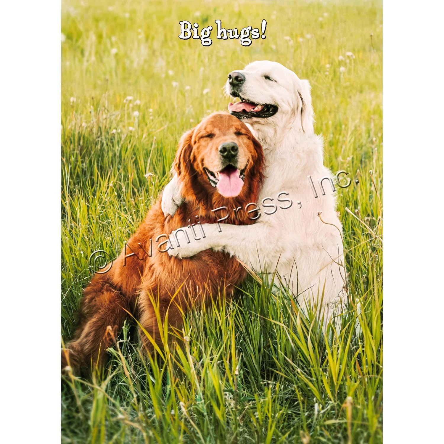 GOLDEN RETRIEVER FRIENDS CARD
