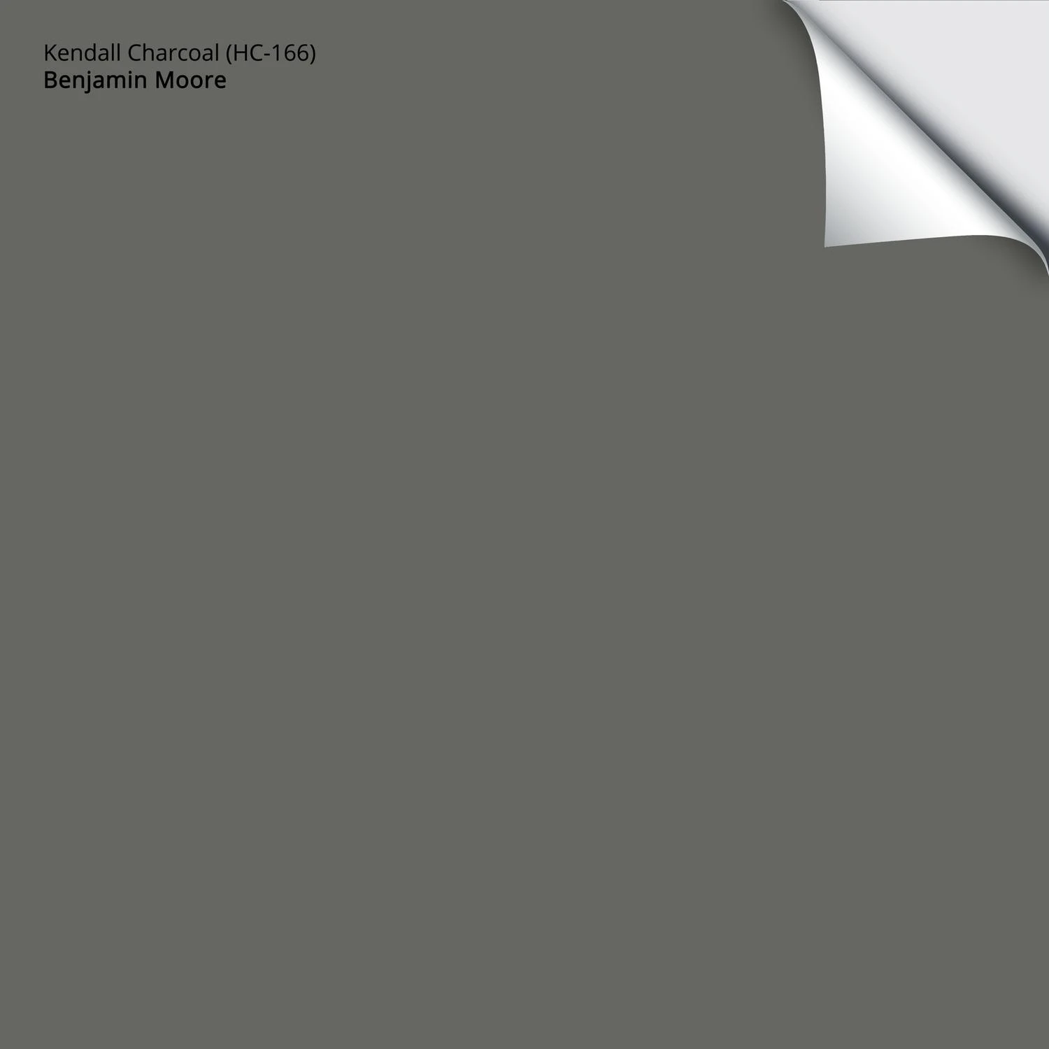 Benjamin Moore Kendall Charcoal Peel & Stick Paint Sample 12x12 Hc-166