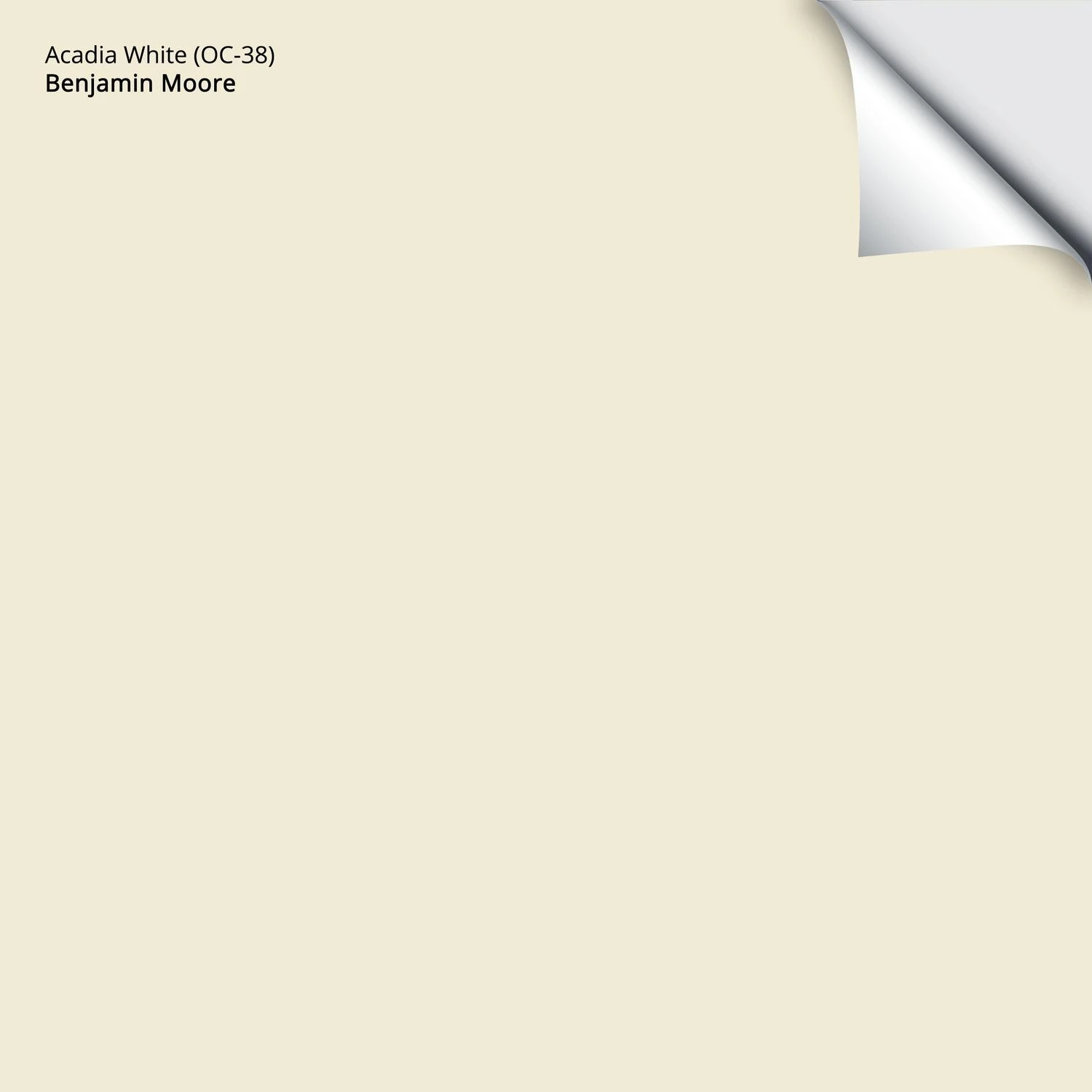 Benjamin Moore Acadia White Peel & Stick Paint Sample Oc-38, 12x12 Inches