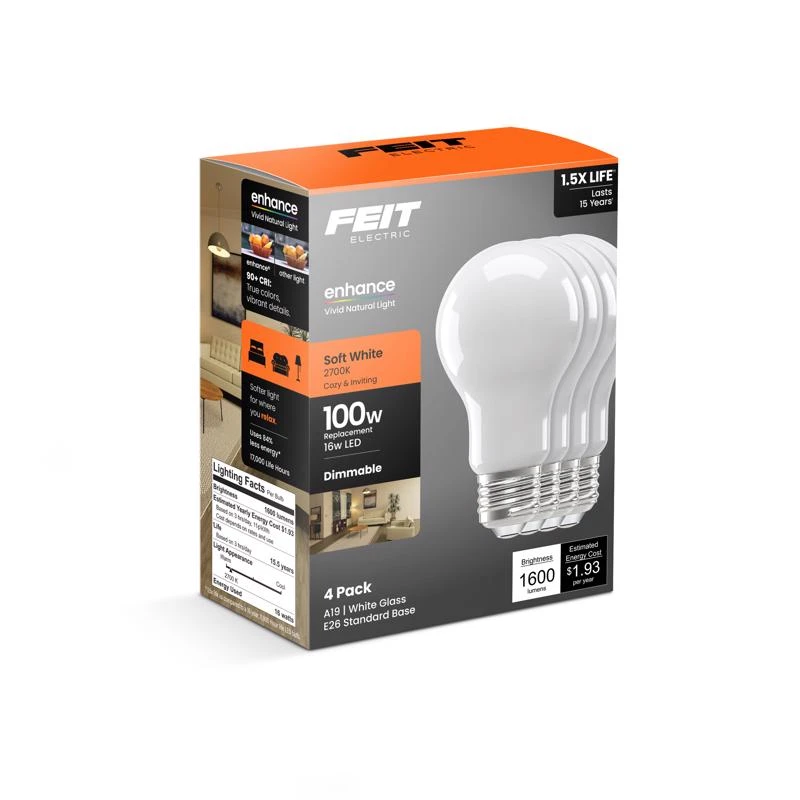 FT LED A19 SW 100W 4PK