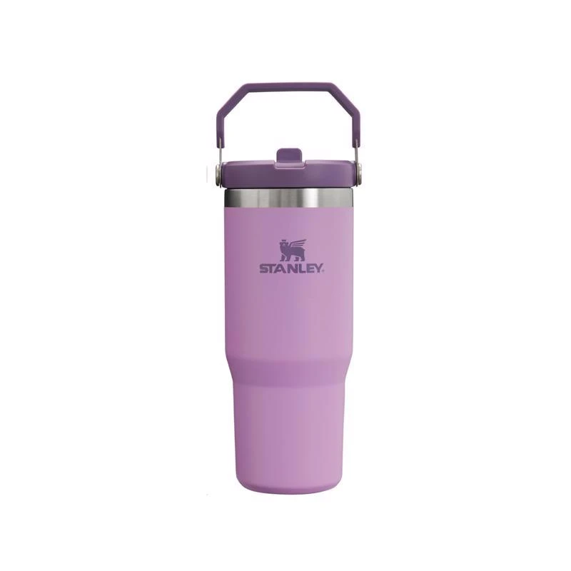 Stanley Iceflow 30 Oz Lilac Bpa Free Insulated Straw Tumbler