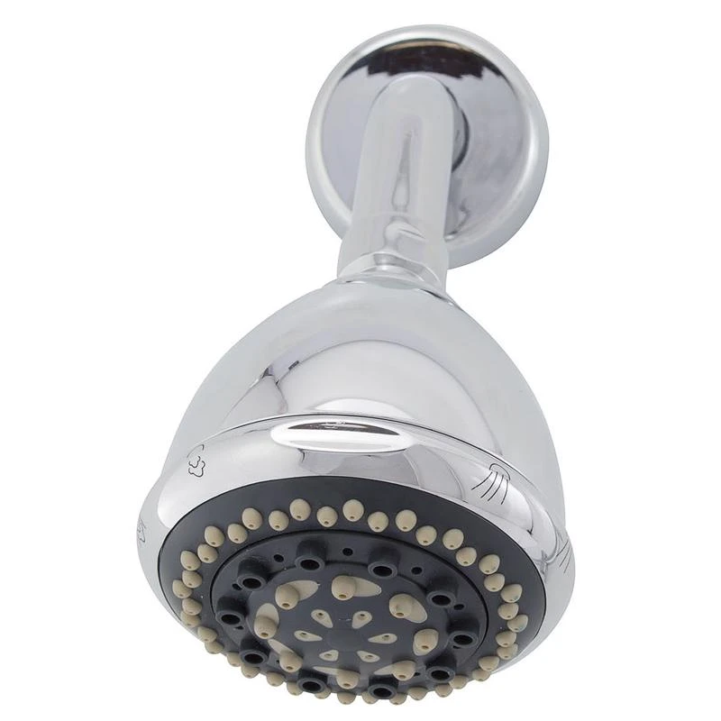 Whedon Rainbow Massage Polished Chrome 7 Settings Plastic Showerhead 2 Gpm
