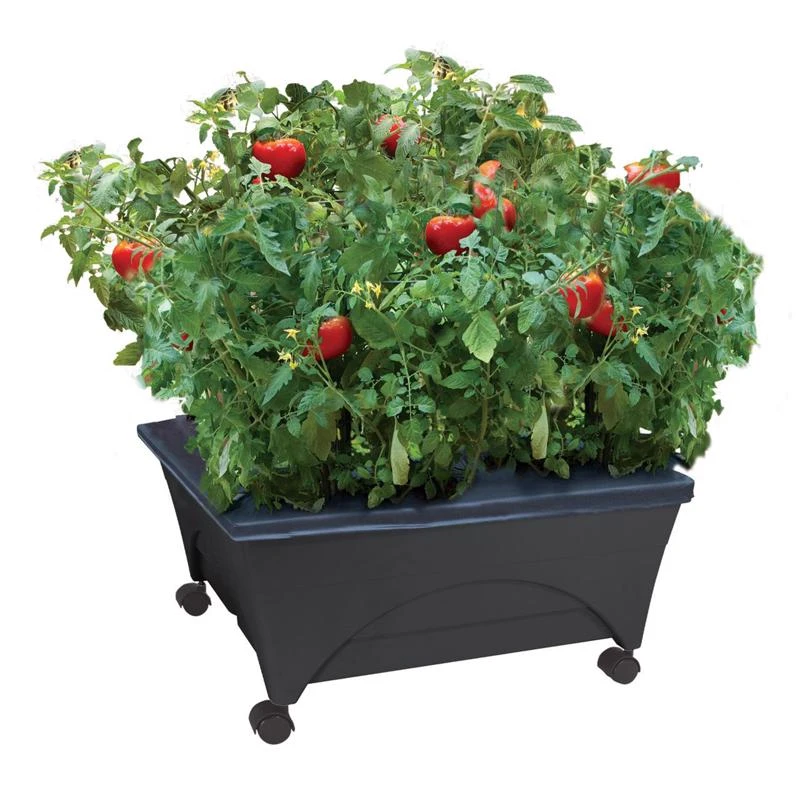 City Pickers 11 In H X 24 In W X 20 In D Resin Garden Bed Charcoal