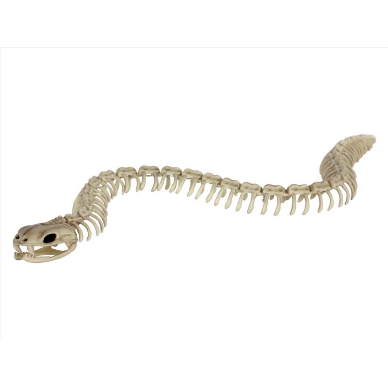 Seasons Skeleton Snake 35 Inch Halloween Decor