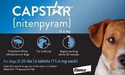 Capstar Dog Flea Tablets 6 Count