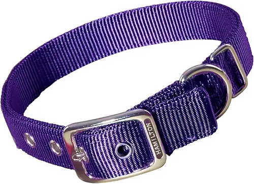 Hamilton Double Thick Nylon Dog Collar Hot Purple 1" X 24"