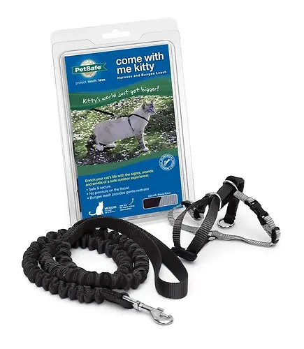 PetSafe Kitty Black Nylon Cat Leash and Harness Medium