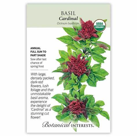 Basil Cardinal Organic Herb Seeds Non-gmo - Botanical Interests 12 Grams