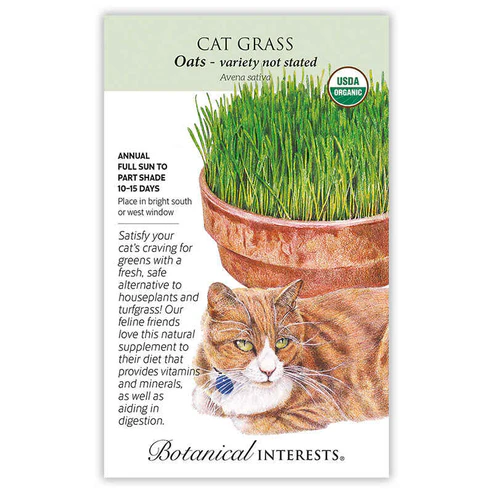 BOTAN CAT GRASS LG