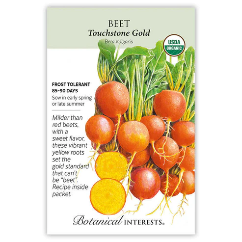 Beet Touchstone Gold Organic Seeds - Premium Quality For Home Gardens