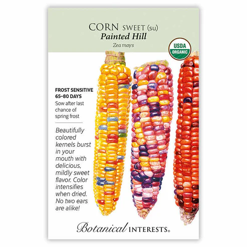 BOTAN CORN SWEET PAINTED HILL OR