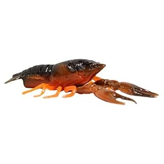 Hi-Def Craw Bait  8 Pack  3 Inch  Brown/Orange