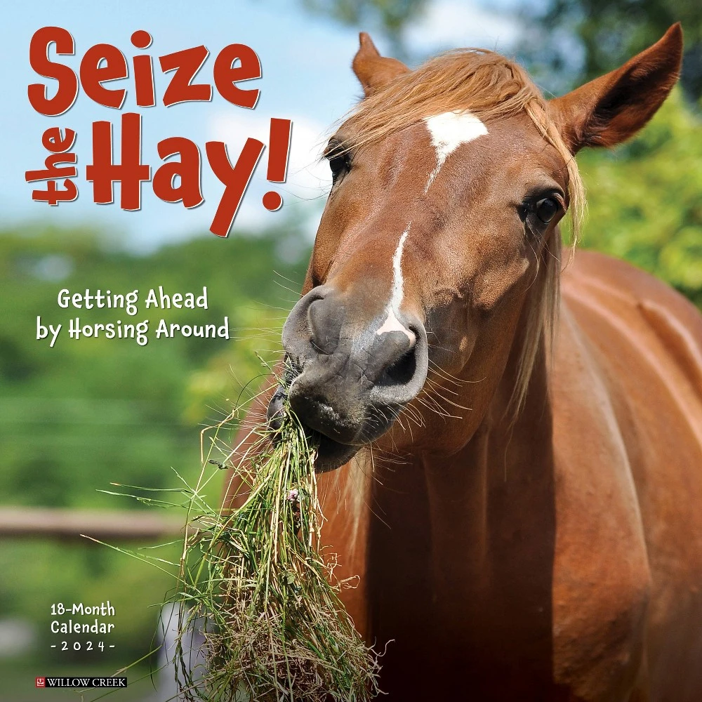 Willow Creek Press 2024 Wall Calendar 12"x12" Seize The Hay