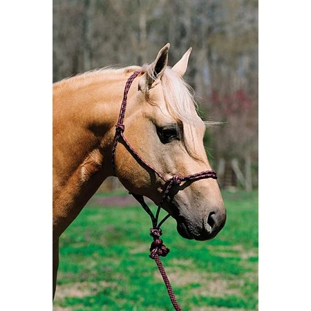 Lami Cell Soft Braided Poly Mountain Rope Halter For Horses, Hot Pink/black