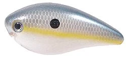 Strike King Kvd 1.0 Series Pro-model Square Bill Crankbait Sexy Shad Hckvds1.0-590