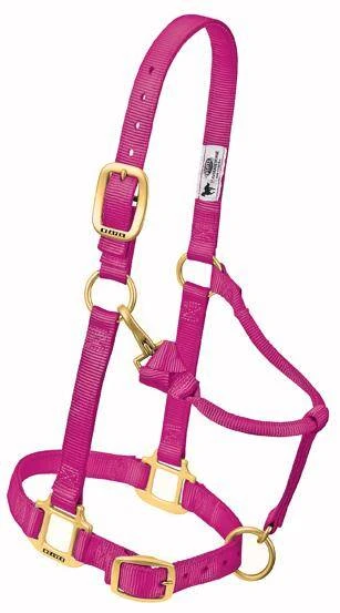 Raspberry Weaver Western Tack Adjustable Horse Halter 1" Yearling Horse
