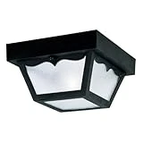Westinghouse Outdoor Ceiling Fixture Model 66822 For Exterior Lighting