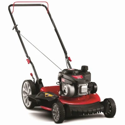 2-in-1 Gas Lawn Mower with 140 Cubic Centimeter Engine and 21 Inch Cutting Deck