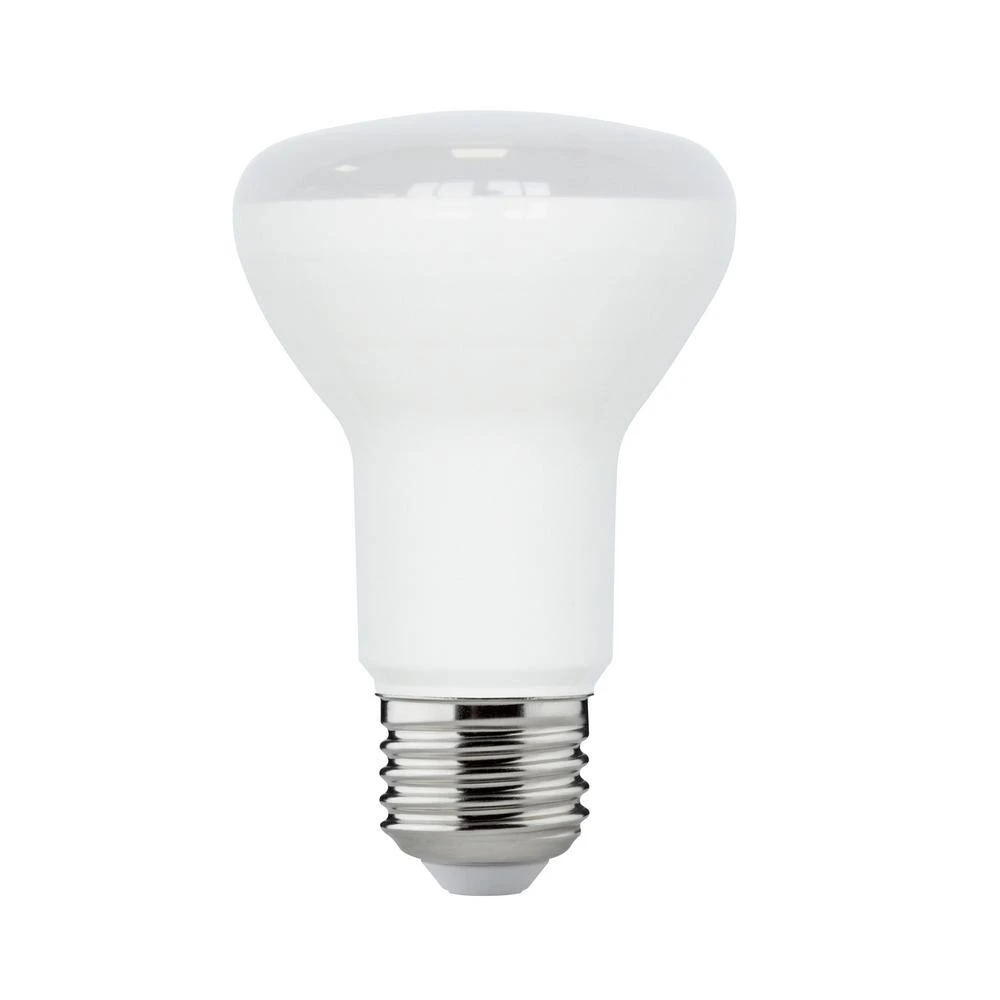Ecosmart 75-watt Equivalent R20 Dimmable Energy Star Led Light Bulb Bright White 3-pack