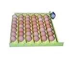 Gqf Mfg Co Automatic Egg Turner With Racks Model 1611 For Incubators