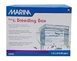 Marina Hang-on Aquarium Breeding Box, Medium For Fish Breeding