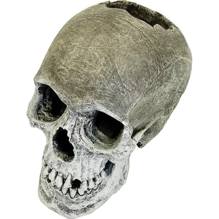 Blue Ribbon Life-like Human Skull Aquarium Ornament, 6.5" L X 4.25" W X 5.5" H, Gray
