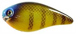 Strike King Kvd 1.0 Series Pro-model Square Bill Crankbait 2" 3/8 Oz Bluegill Hckvds1.0-622